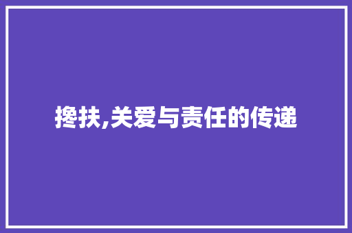 搀扶,关爱与责任的传递