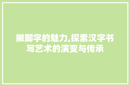 撇脚字的魅力,探索汉字书写艺术的演变与传承