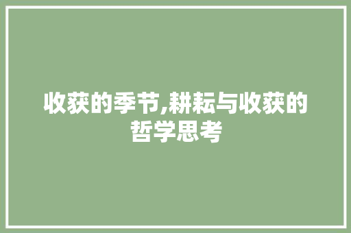 收获的季节,耕耘与收获的哲学思考