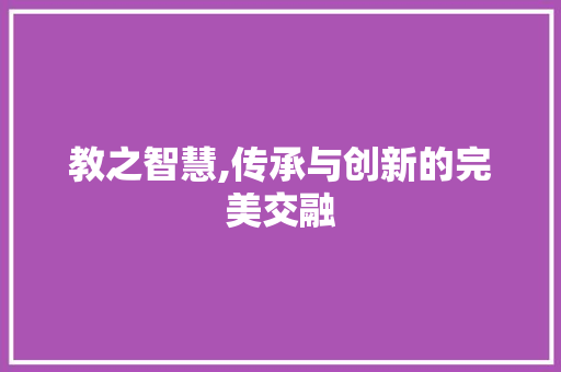 教之智慧,传承与创新的完美交融