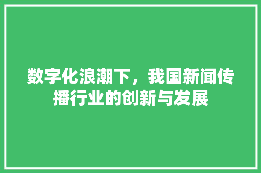 数字化浪潮下，我国新闻传播行业的创新与发展