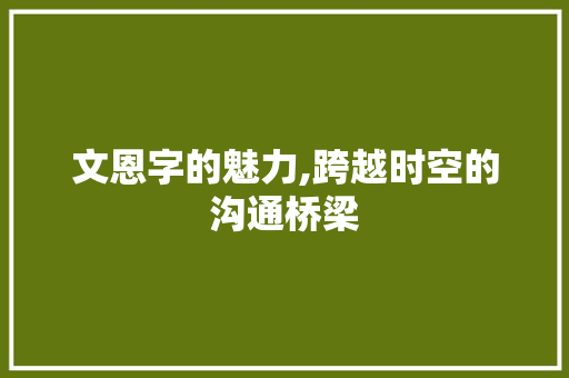 文恩字的魅力,跨越时空的沟通桥梁