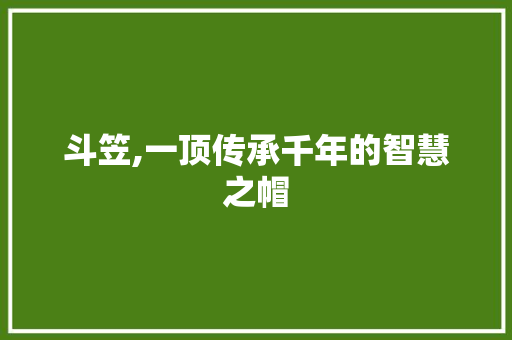 斗笠,一顶传承千年的智慧之帽