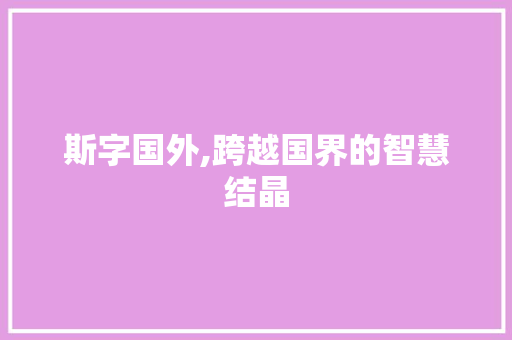 斯字国外,跨越国界的智慧结晶 社交媒体