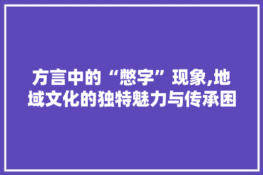 方言中的“憋字”现象,地域文化的独特魅力与传承困境 应用文