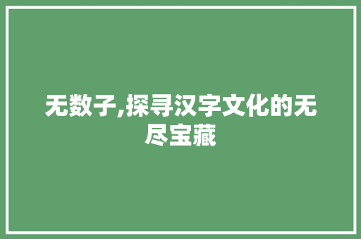 无数子,探寻汉字文化的无尽宝藏