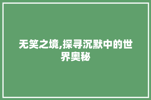 无笑之境,探寻沉默中的世界奥秘