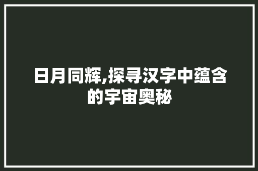 日月同辉,探寻汉字中蕴含的宇宙奥秘