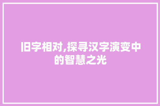 旧字相对,探寻汉字演变中的智慧之光