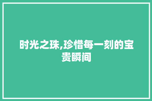 时光之珠,珍惜每一刻的宝贵瞬间
