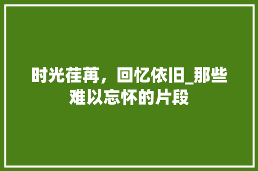 时光荏苒，回忆依旧_那些难以忘怀的片段