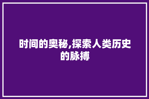 时间的奥秘,探索人类历史的脉搏