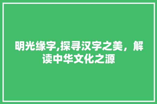 明光缘字,探寻汉字之美，解读中华文化之源 诗词体裁