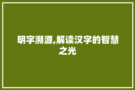 明字溯源,解读汉字的智慧之光