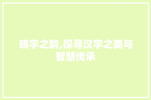 晓字之韵,探寻汉字之美与智慧传承