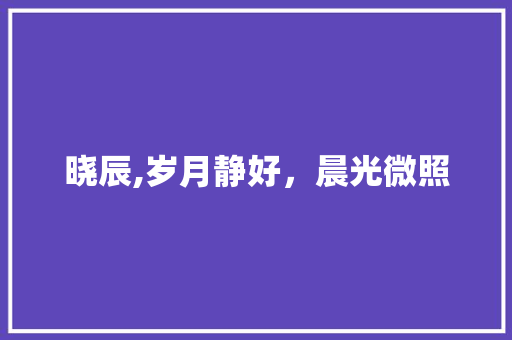 晓辰,岁月静好，晨光微照 诗词应用