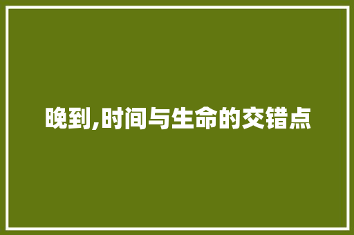 晚到,时间与生命的交错点