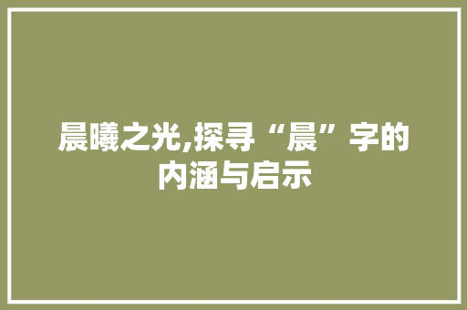 晨曦之光,探寻“晨”字的内涵与启示
