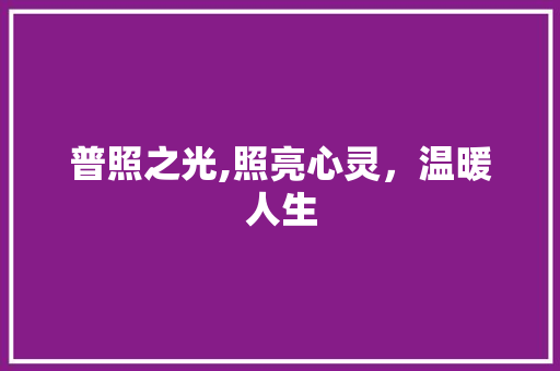 普照之光,照亮心灵，温暖人生 应用文
