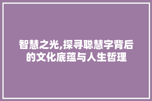 智慧之光,探寻聪慧字背后的文化底蕴与人生哲理 项目报告