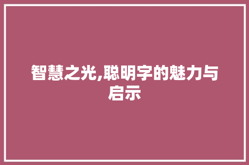 智慧之光,聪明字的魅力与启示
