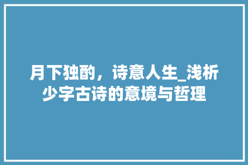 月下独酌，诗意人生_浅析少字古诗的意境与哲理 工作总结