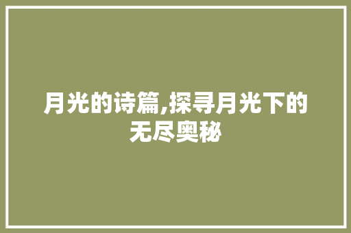 月光的诗篇,探寻月光下的无尽奥秘
