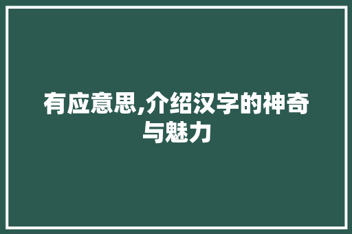 有应意思,介绍汉字的神奇与魅力