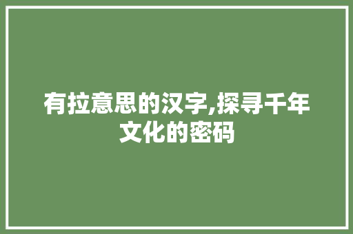有拉意思的汉字,探寻千年文化的密码
