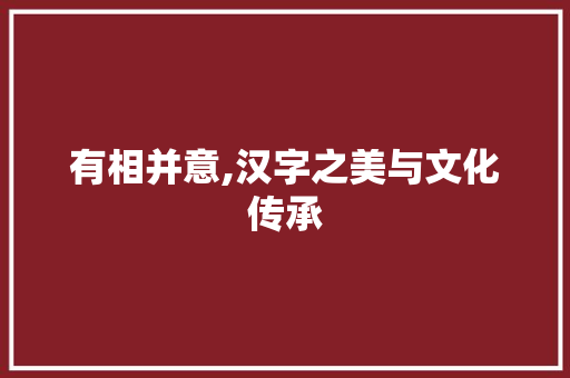 有相并意,汉字之美与文化传承