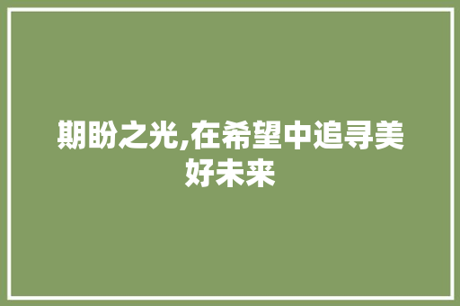 期盼之光,在希望中追寻美好未来