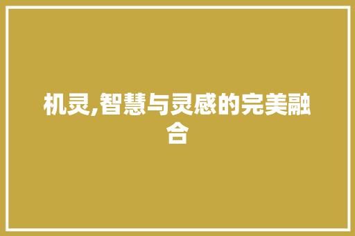 机灵,智慧与灵感的完美融合