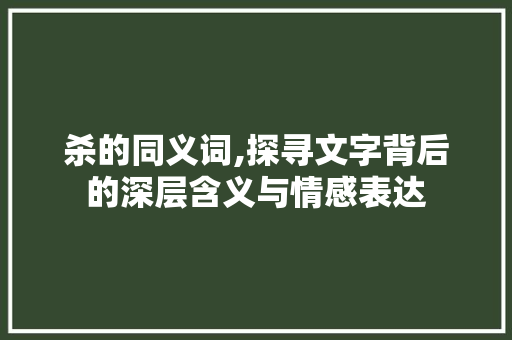 杀的同义词,探寻文字背后的深层含义与情感表达