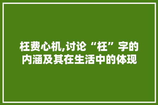 枉费心机,讨论“枉”字的内涵及其在生活中的体现
