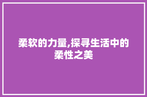 柔软的力量,探寻生活中的柔性之美