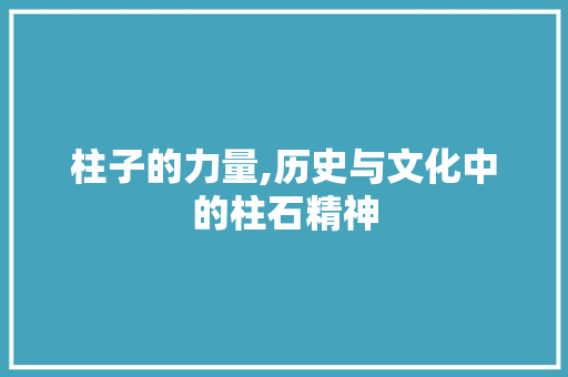 柱子的力量,历史与文化中的柱石精神