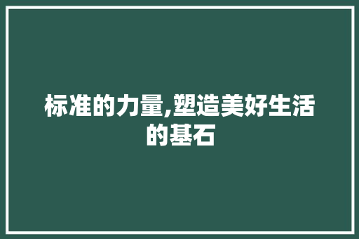 标准的力量,塑造美好生活的基石