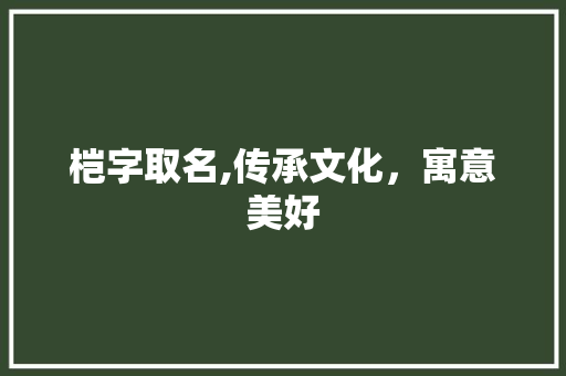 桤字取名,传承文化，寓意美好