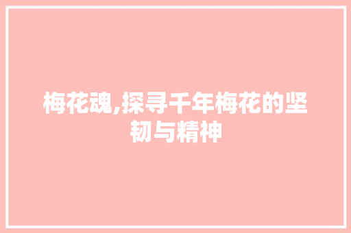梅花魂,探寻千年梅花的坚韧与精神