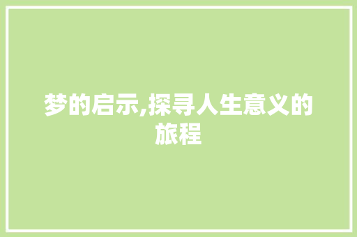 梦的启示,探寻人生意义的旅程