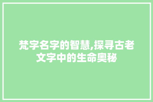 梵字名字的智慧,探寻古老文字中的生命奥秘