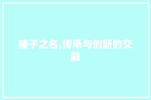 榛子之名,传承与创新的交融