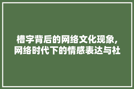 槽字背后的网络文化现象,网络时代下的情感表达与社交互动
