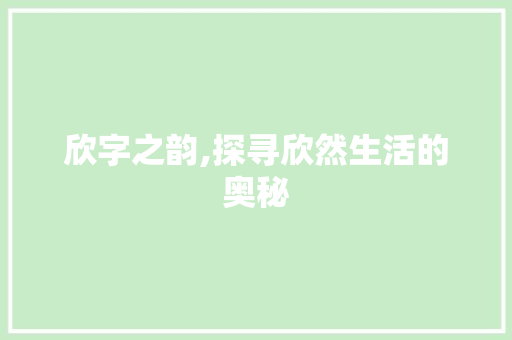 欣字之韵,探寻欣然生活的奥秘