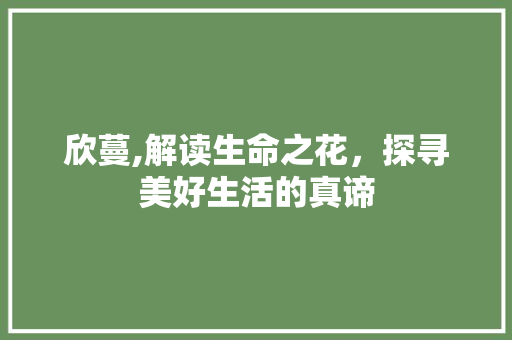 欣蔓,解读生命之花，探寻美好生活的真谛