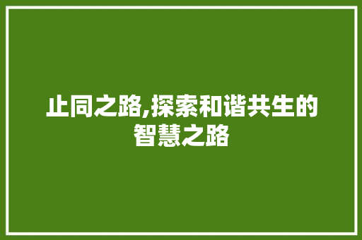 止同之路,探索和谐共生的智慧之路