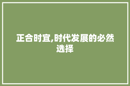 正合时宜,时代发展的必然选择 项目报告