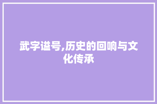 武字谥号,历史的回响与文化传承