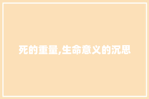 死的重量,生命意义的沉思 会议纪要