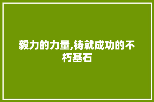 毅力的力量,铸就成功的不朽基石